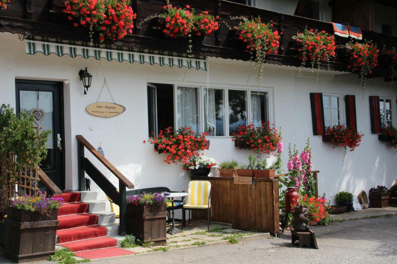 Haus Mauken - Appartments Mit Panoramablick Murau Exterior foto